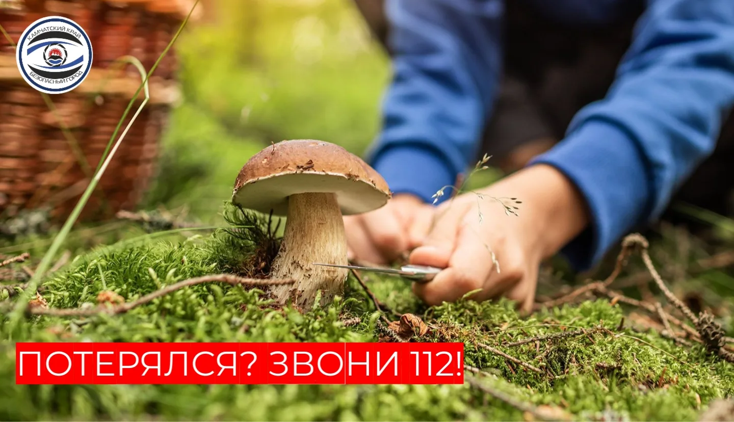 🍄 Сезон «тихой охоты» в разгаре — а вместе с ним растёт риск заблудиться в лесу.