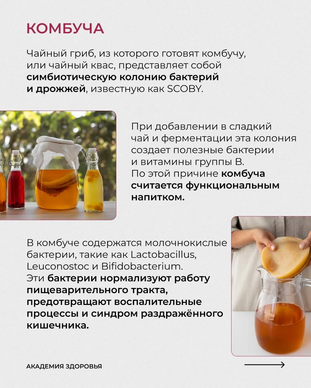 ЛУЧШИЕ ПРОБИОТИКИ ДЛЯ ВАШЕГО ЖКТ!   Речь, конечно же, про ферментированные продукты 🔥  Ферментация —