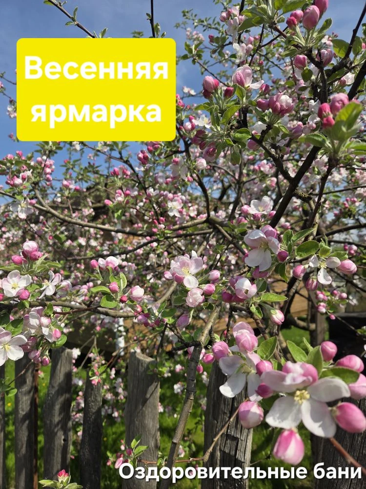🌸 Весенняя садоводческая ярмарка 16 мая