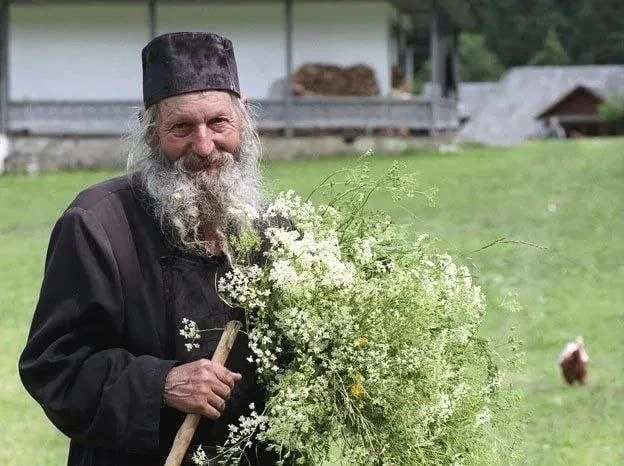 Один молодой монах мыл листья салата на кухне. К нему подошел другой монах и, желая исп...