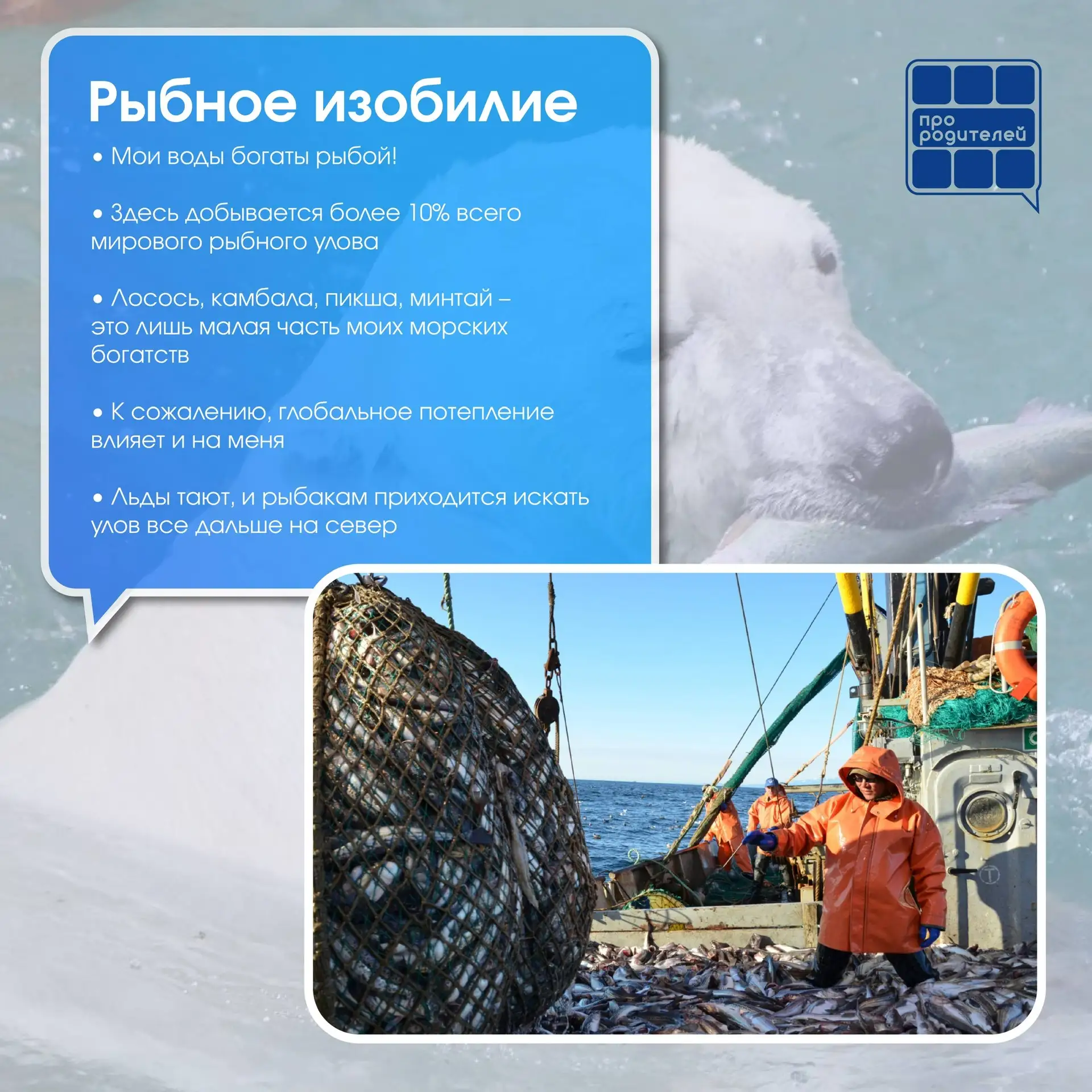 🧊Бескрайнее царство льда  28 февраля — день Арктики, день, посвященный одному из самых удивительных 