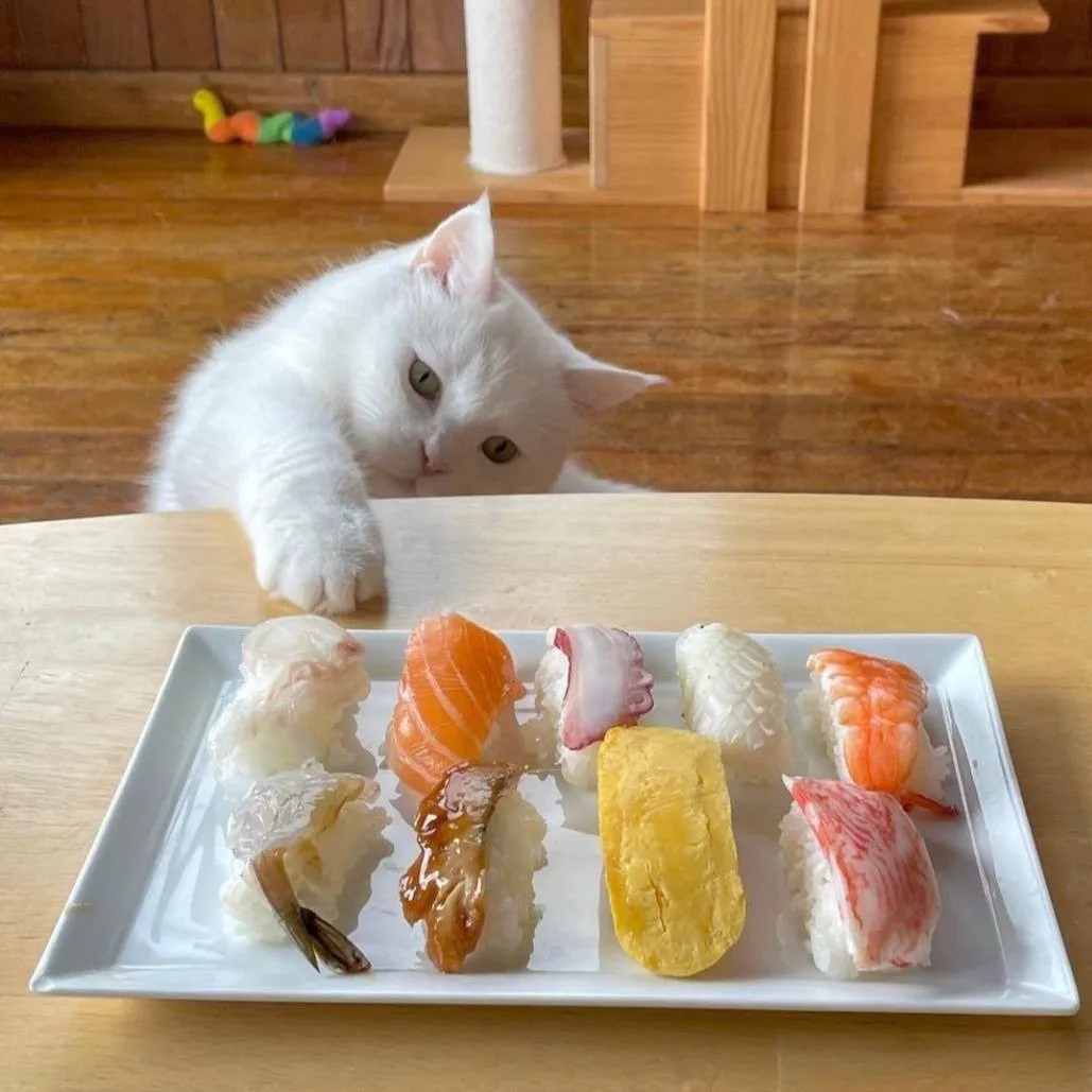 🍣  Сегодня отмечается Международный день суши.
