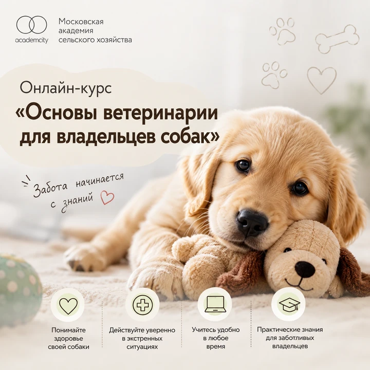 Любите свою собаку и хотите быть уверены, что всегда сможете защитить её здоровье? 🐶