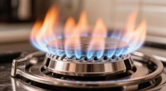 ПРАВИЛА БЕЗОПАСНОСТИ ПРИ ИСПОЛЬЗОВАНИИ ГАЗОВЫХ ПРИБОРОВ: ПАМЯТКА ДЛЯ ЖИТЕЛЕЙ