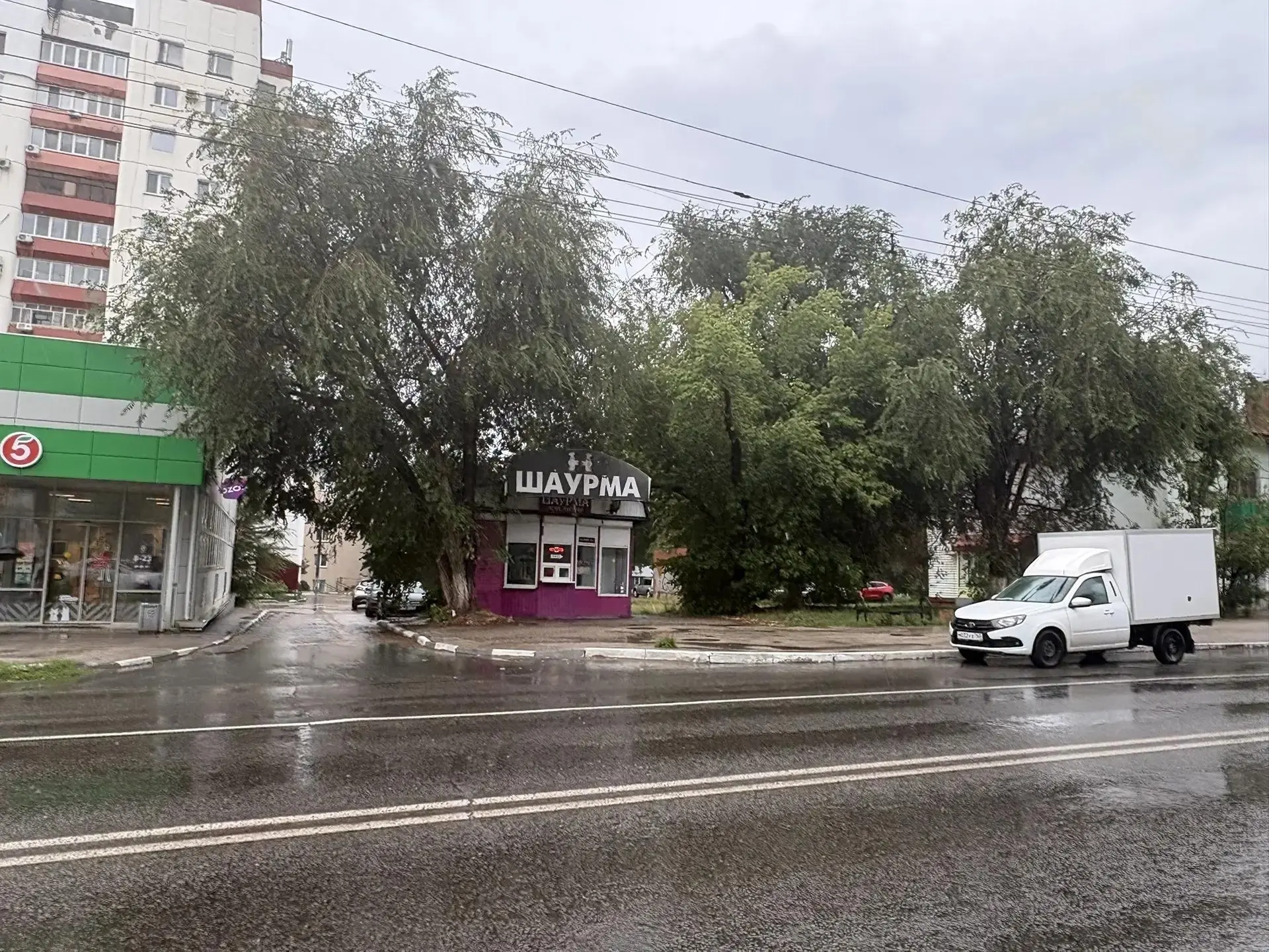 Опиловка деревьев и веток🌿 🪾