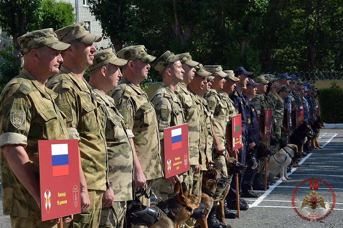 📷Кинологи Уральского округа Росгвардии соревнуются в профмастерстве