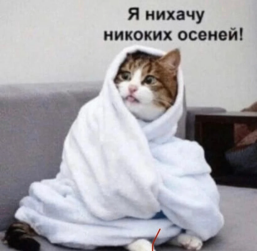 ☀️ Снег уйдет, а в Прикамье станет теплее: до +15°
