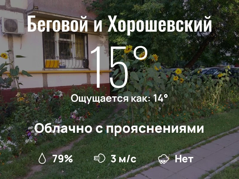 Что с погодой в Беговом и Хорошевском?
