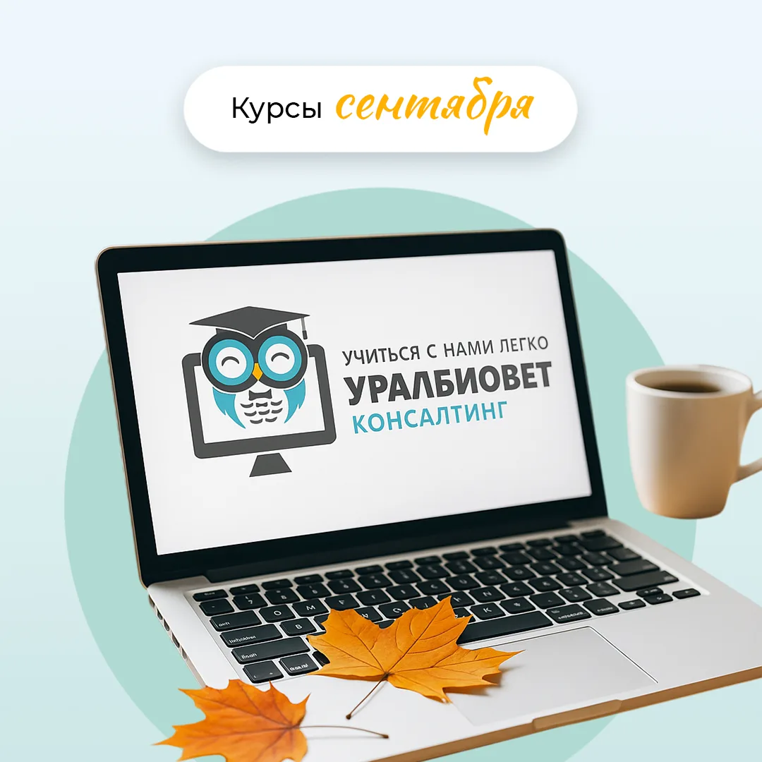Осень – это не повод грустить. Осень – это прекрасное время для обучения! И вот какие м...