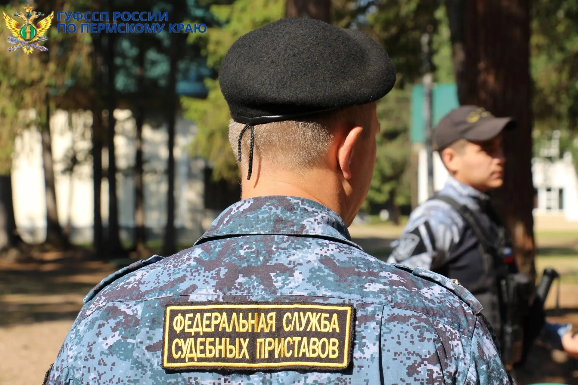 🫎Судебные приставы взыскали с браконьеров ущерб, причиненный незаконной охотой на лося.