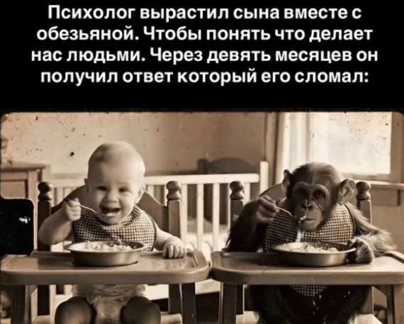 1931 год. Уинтроп Келлог взял из питомника самку шимпанзе Гуа и решил растить её наравне со своим 10
