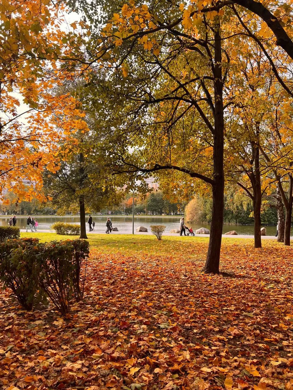 🍂 Давайте под этим красивым фото нашего парка поиграем в слова!