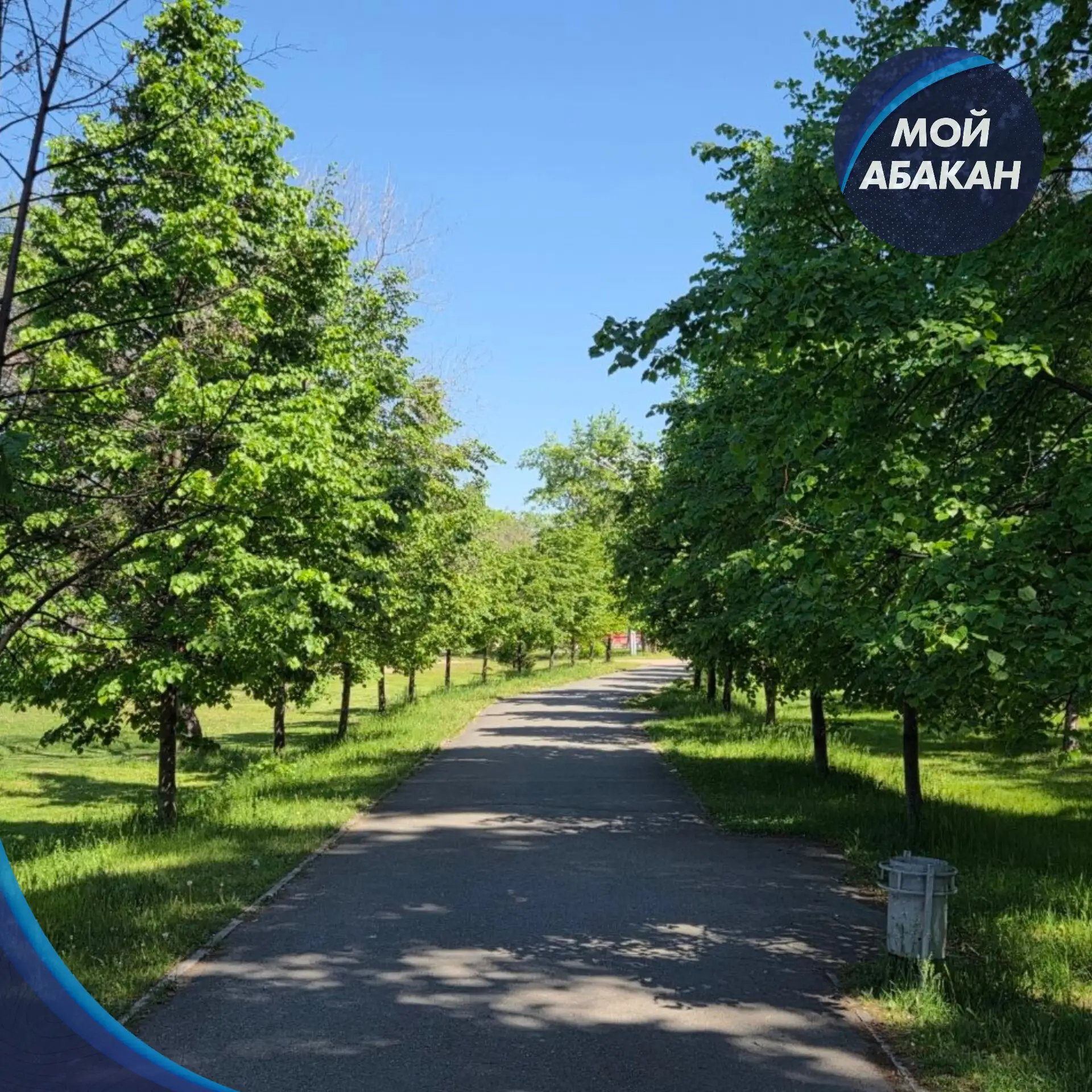 Доброе утро, Абакан 🌸

Сегодня днем +22°, ночью +17°, ветер до 10 м/с.

Хорошего дня 🫶