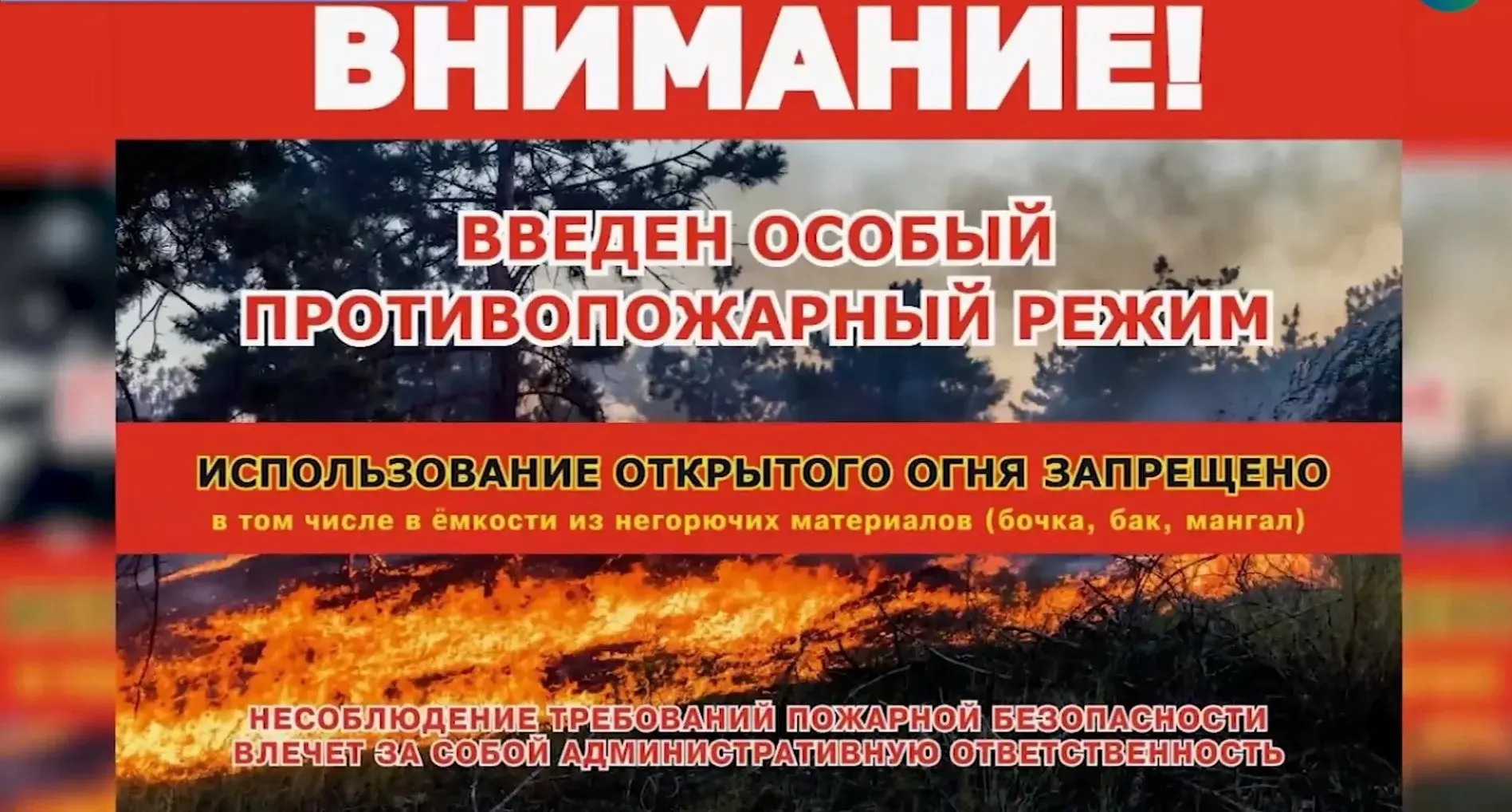 Ростовская область: усилены меры пожарной безопасности в лесах