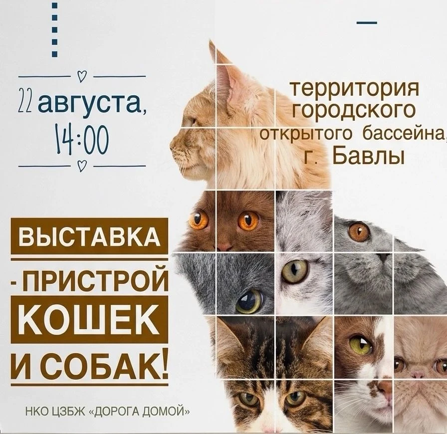 #Бавлинскийрайон