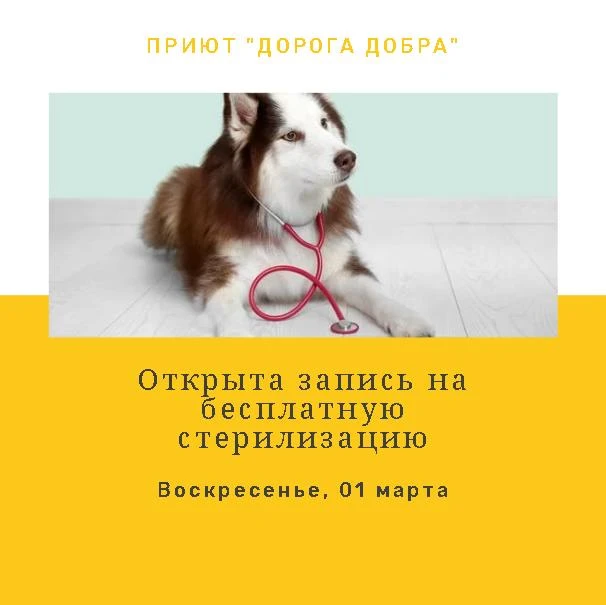 📢 Торжественно объявляем очередное открытие сезона бесплатной стерилизации. Уже пятый ...