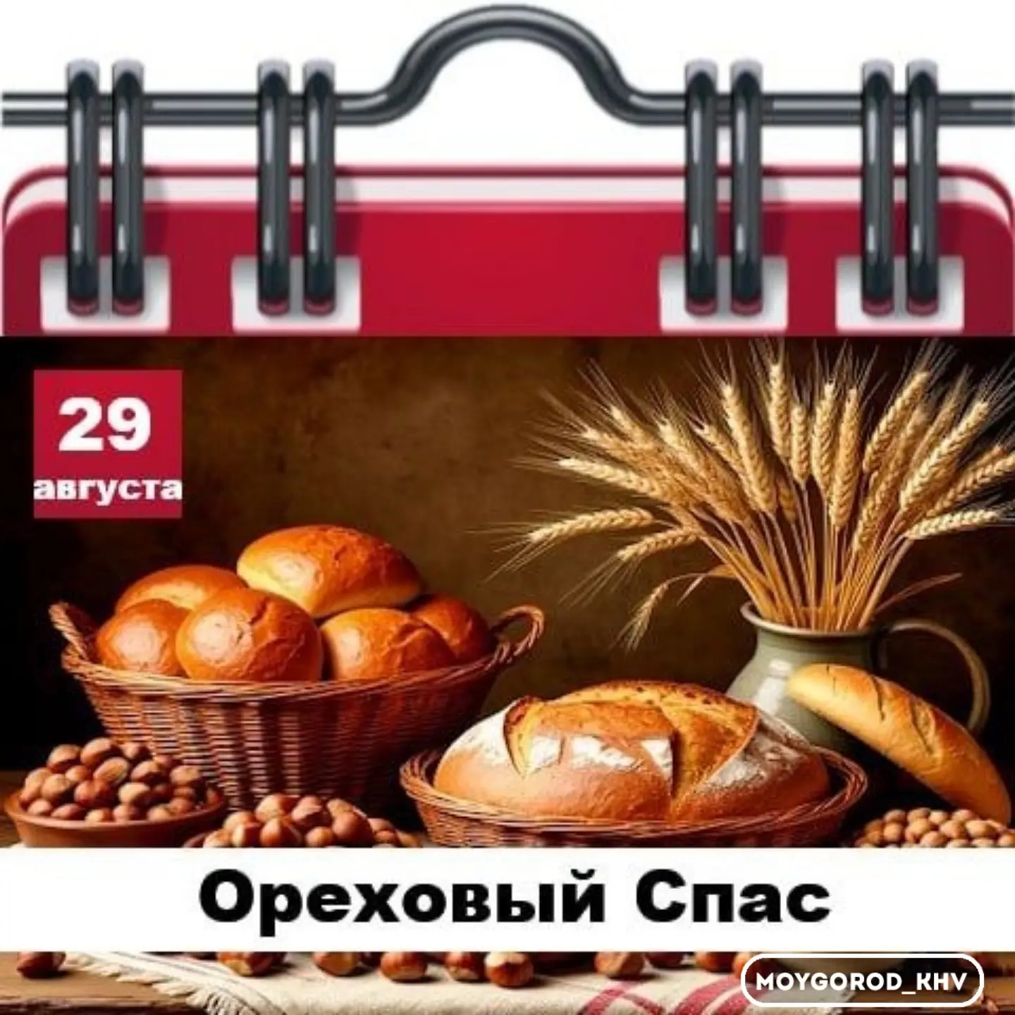 #moygorod_khvпраздник |  🎉