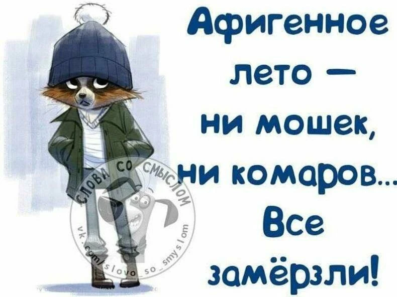 Ведьмин котелок 🧙 Подписаться