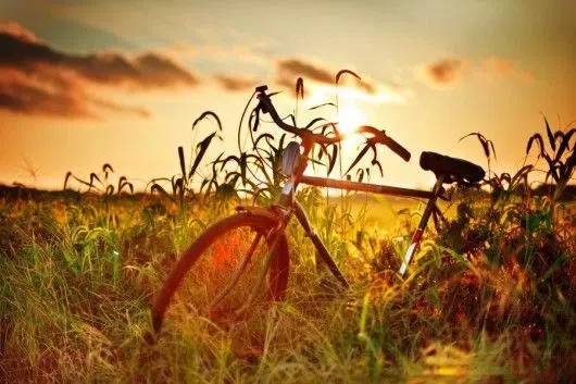 Доброе утро, друзья! ☀