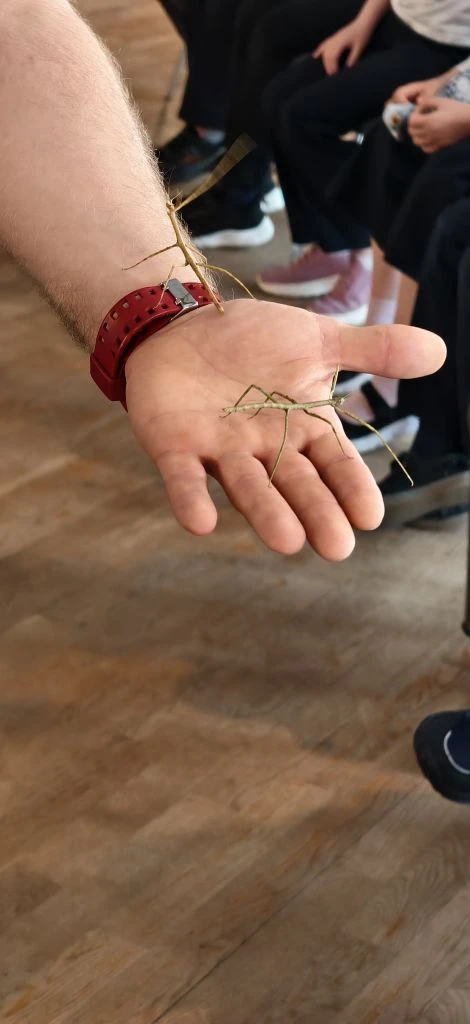 ИНТЕРАКТИВНЫЕ ЗАНЯТИЯ  🦎 Для учеников нашей школы прошла увлекательная интерактивная программа «Чуде