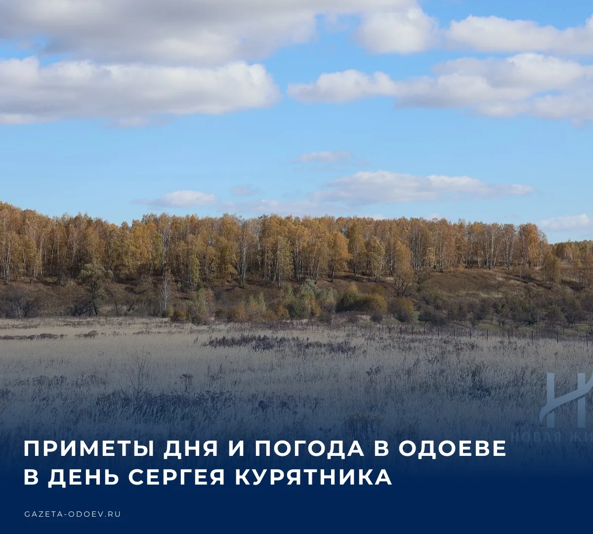 🌧️ Сегодня, 8 октября, в Одоеве ожидается +6...+13 °C, без осадков. Юго-западный ветер...