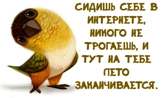 📘 Учебный год подкрадывается тихо… ну, как тихо — с грохотом портфеля, шуршанием новых...
