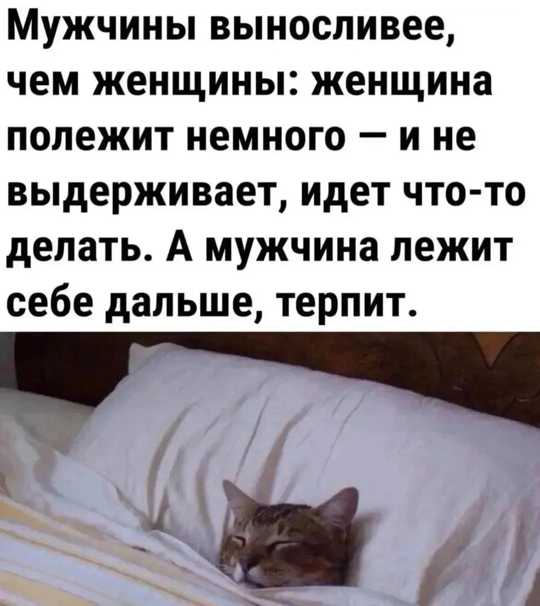 Юмор в открытках