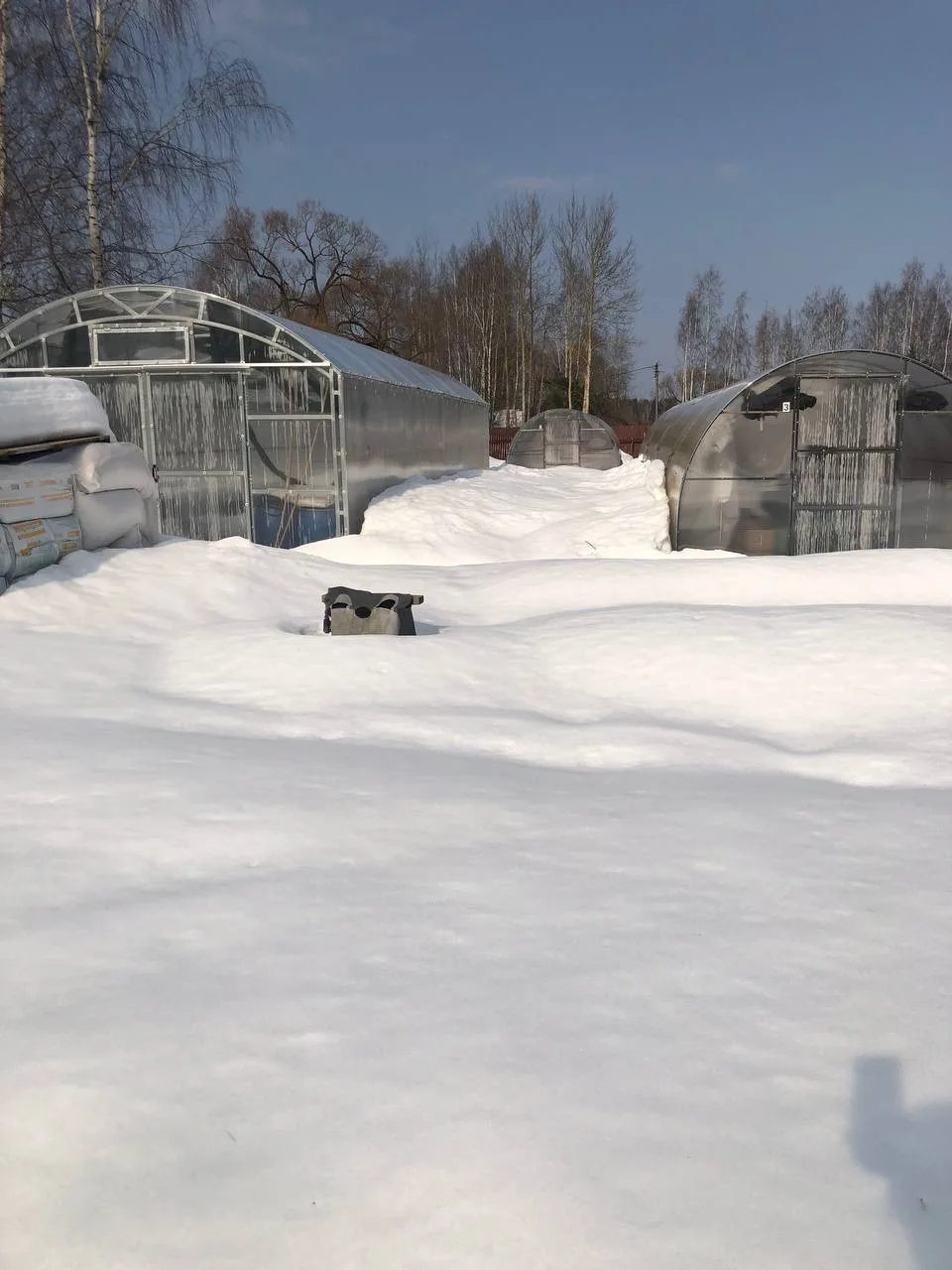 ❄️ Зима нас пока не отпускает…❄️
