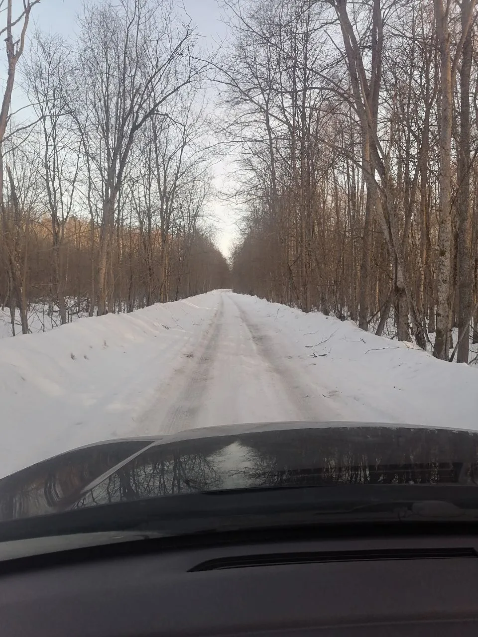 Отчёт от 15.03.26