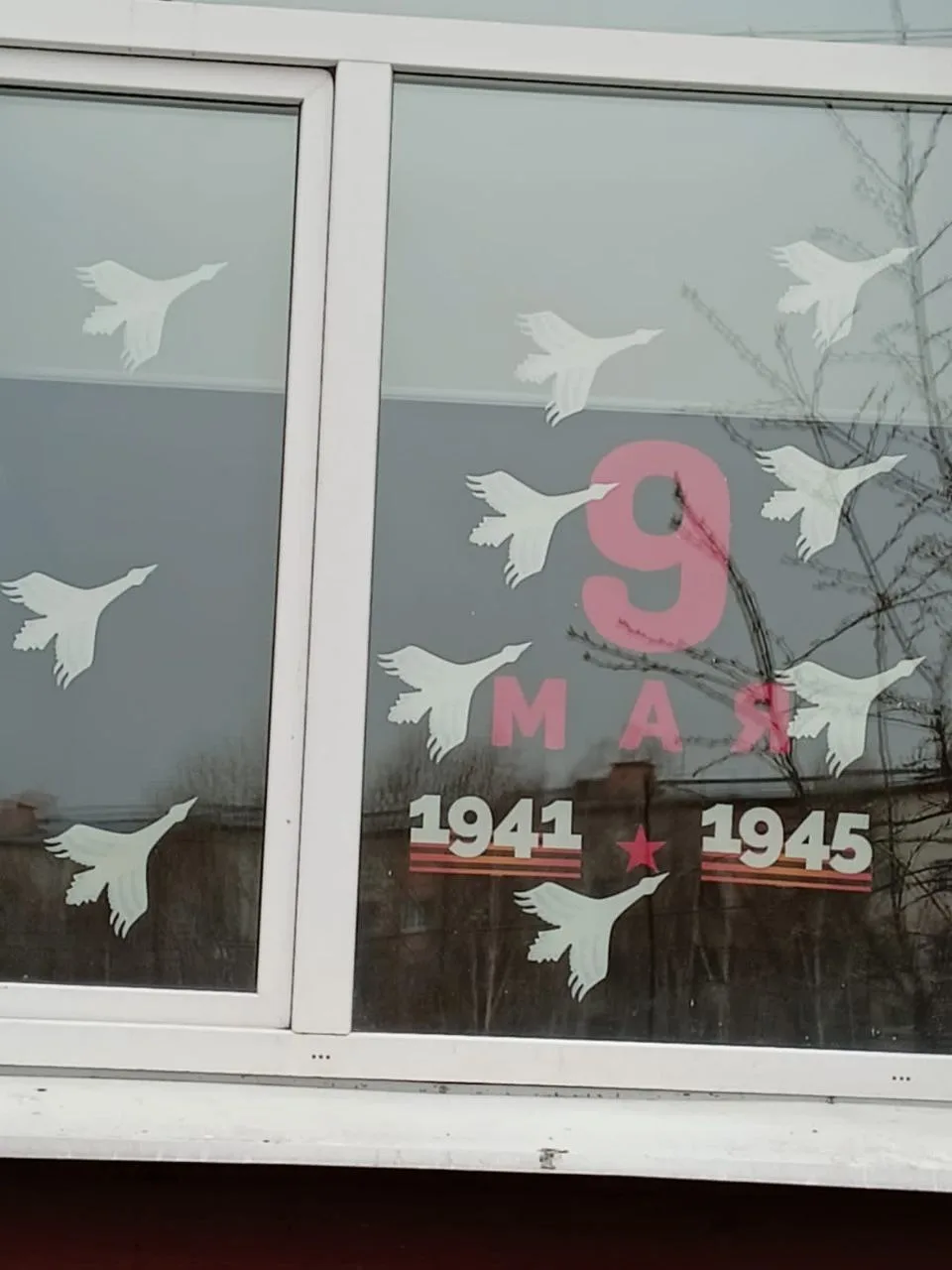 🕊АКЦИЯ "ОКНА ПОБЕДЫ"🕊  🇷🇺 В рамках Всероссийской акции "Окна Победы" в студенческом общежитии органи