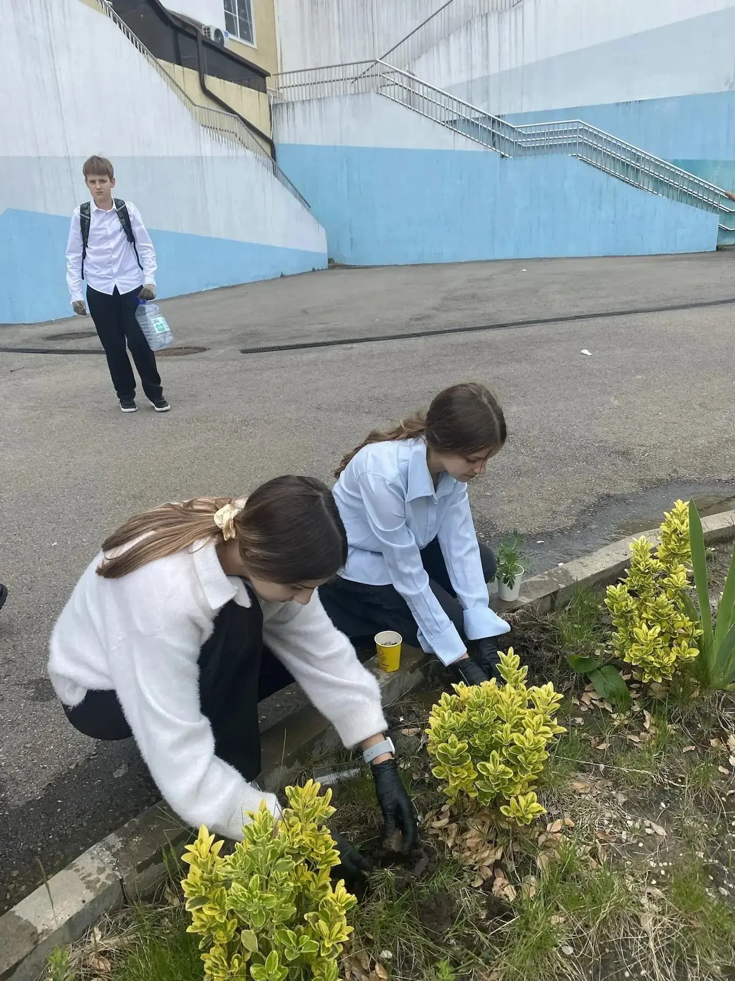 🌱Совсем недавно учащиеся засеяли емкости семенами ярких бархатцев. Когда маленькие ростки стали дост