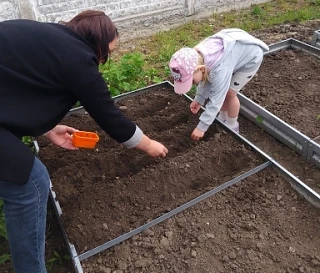 "Сажаем огород"🌽🍆🥒🍅