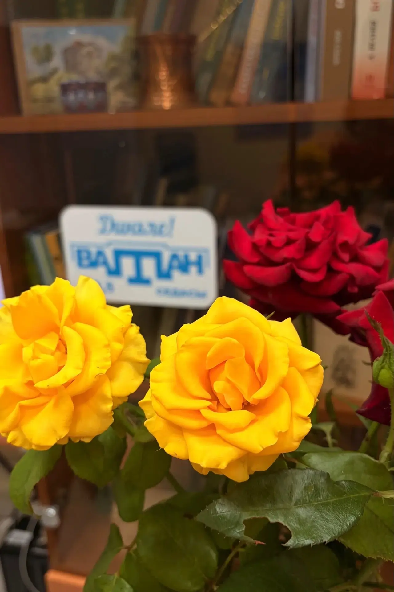 Раатлыкъ кунюнинъ эсас устюнлиги - ашыкъмамакътыр. Севимли чай я да къавени дамланъыз, ...