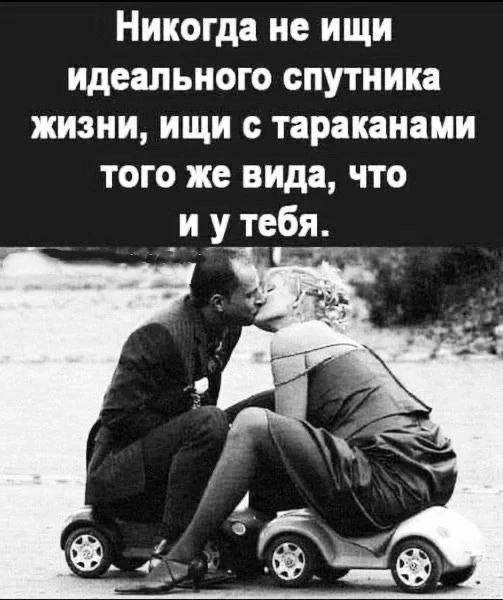 🪳❤️🪳🤎

Галстукова On Air Подписаться