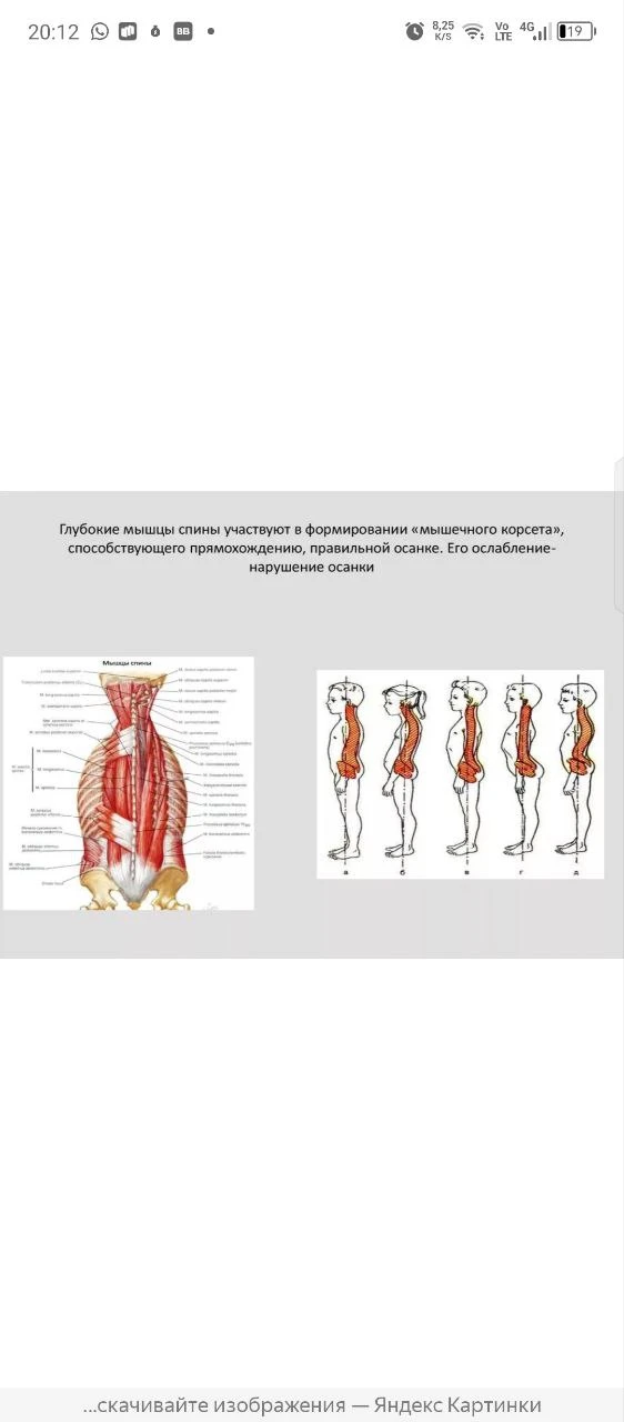 👩‍👧 Сегодня хочу поделиться не столько профессиональным, сколько очень личным опытом ...