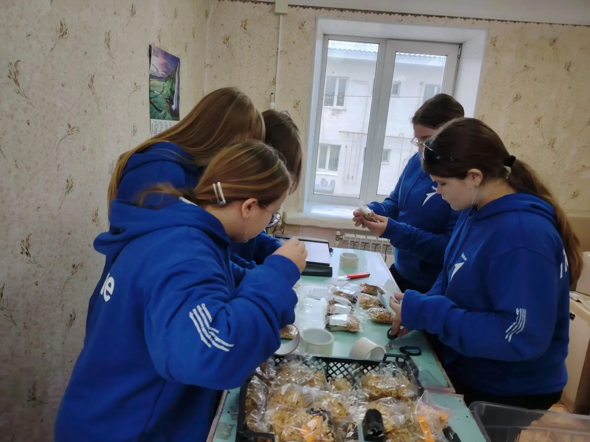 ВОЛОНТЁРЫ СНОВА В ДЕЛЕ🤲