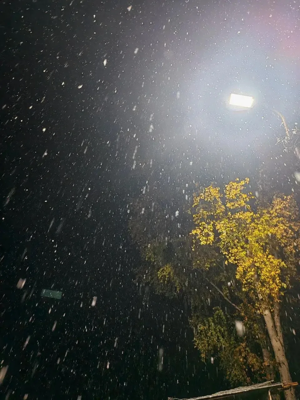 ❄️ Зима близко: жители Ягодного сегодня встречают первый снег.