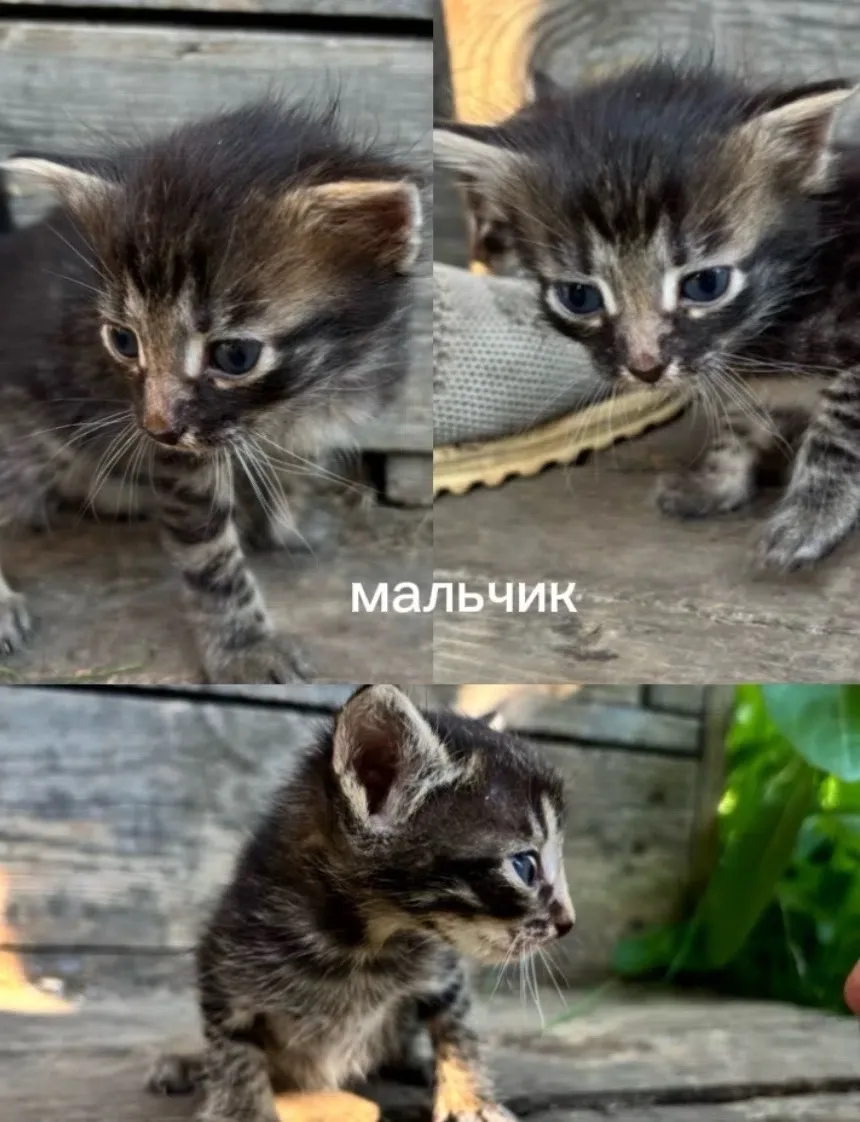 ПОМОГАЮ ИНФОРМАЦИОННО!!!!!