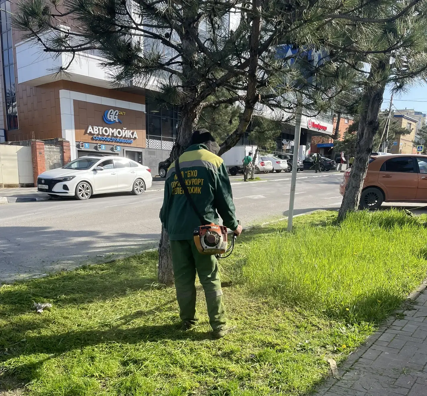 Внимание! В Геленджике продолжается сезон покоса травы