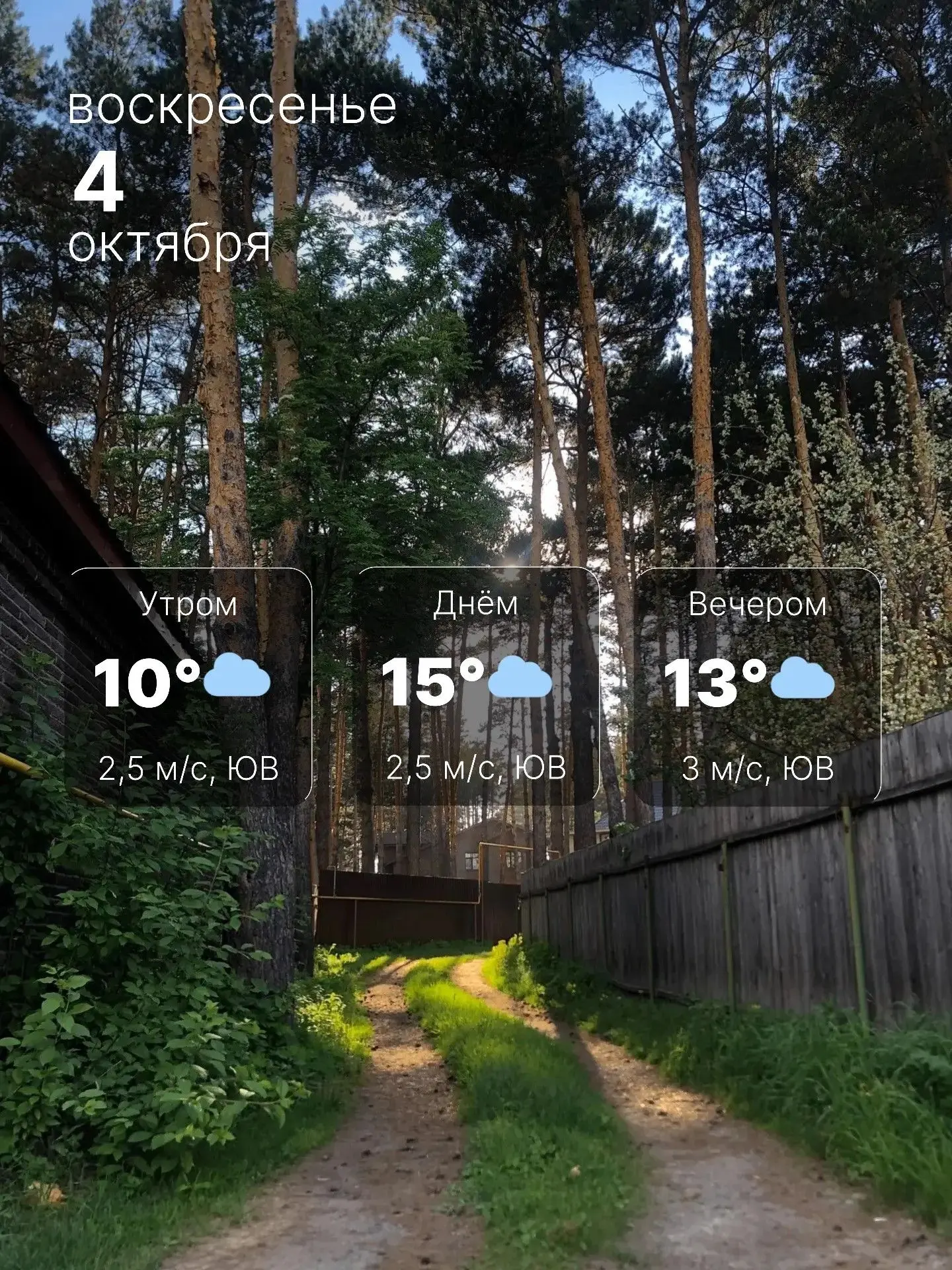🌤 Воскресенье тоже порадует тёплой погодой