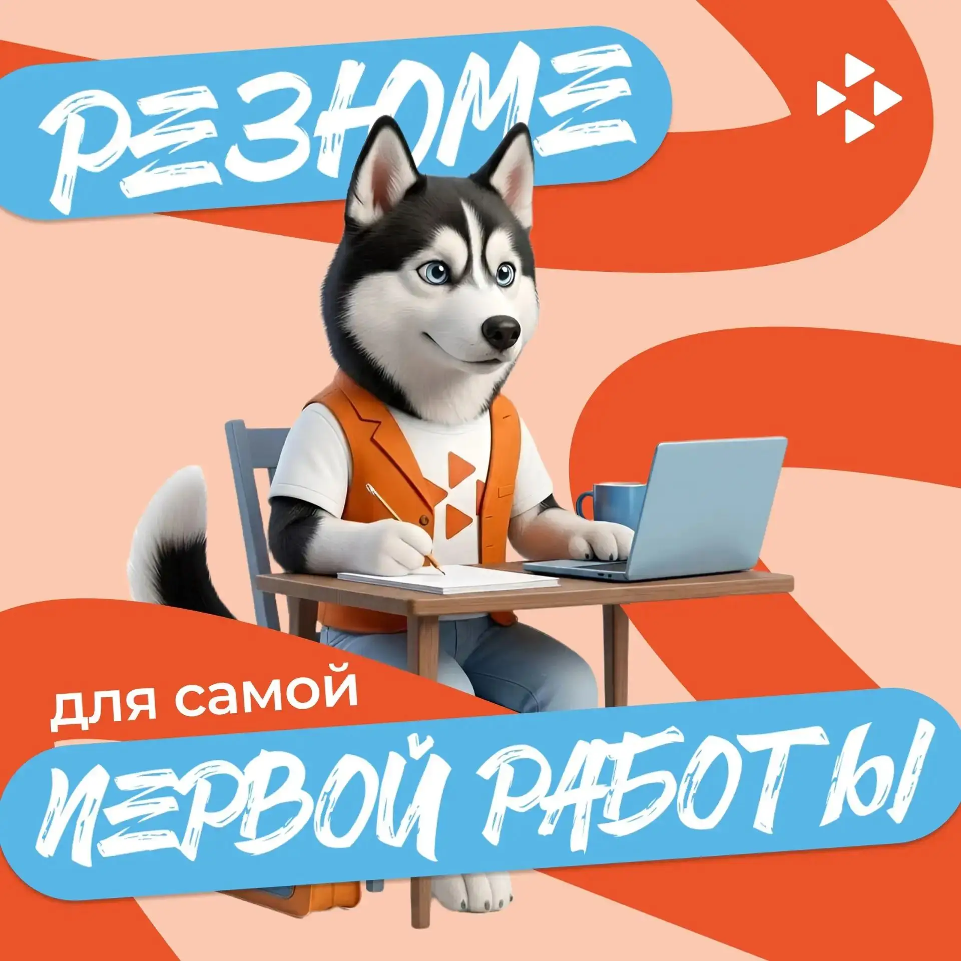 Как составить резюме, если опыта работы ещё нет? 📝