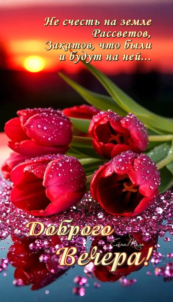🥰 Оставляйте реакции, если понравилась открытка и делитесь с близкими ❤