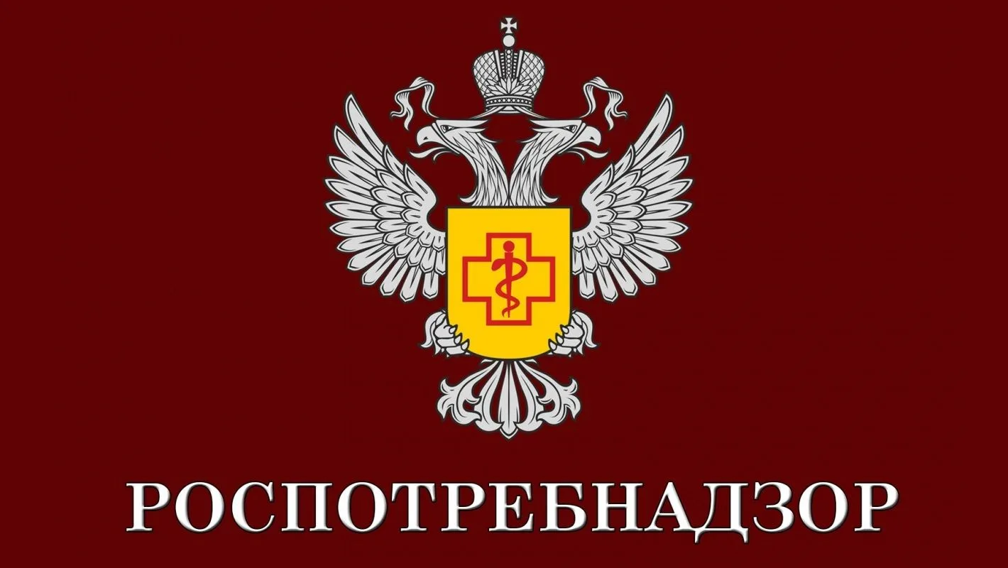 Болезни от насекомых: симптомы и как их распознать.