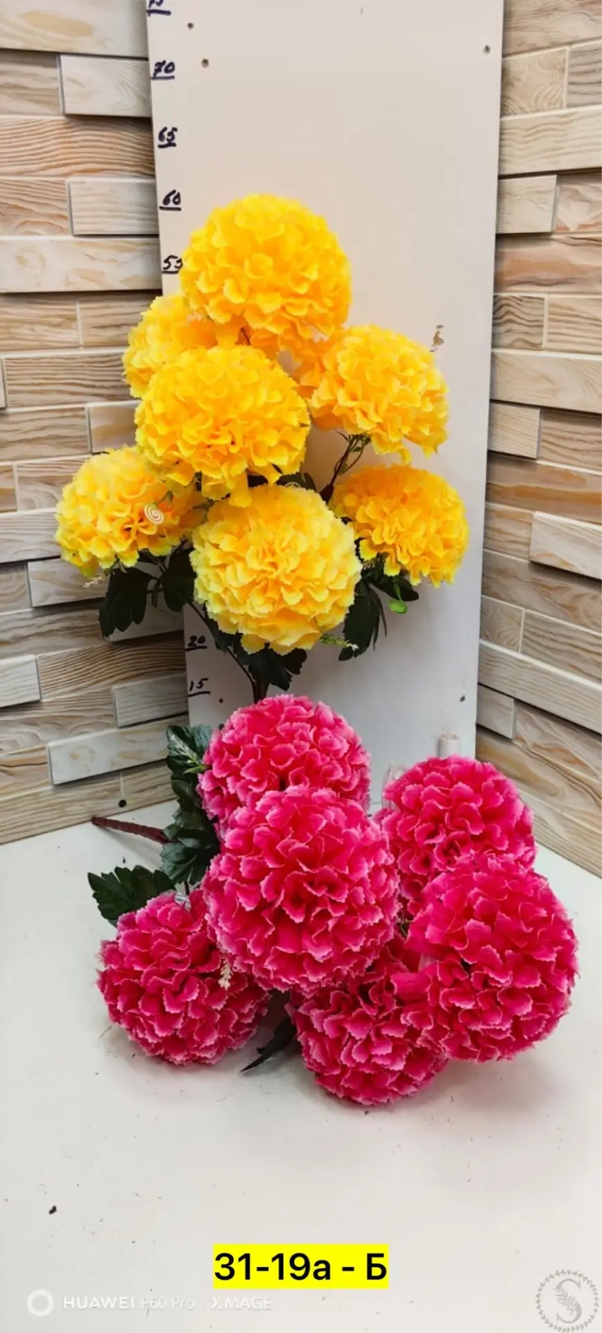 https://vk.com/photo-184814919_493391936