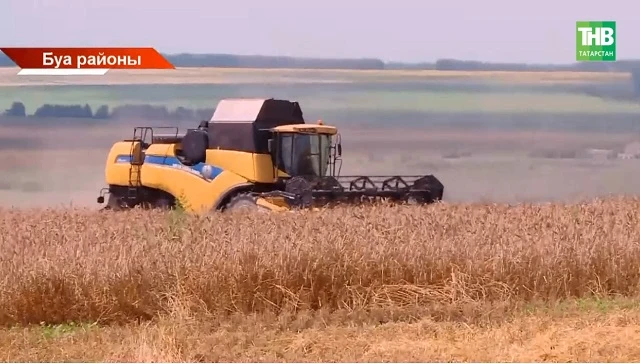 🌾400 мең тоннадан артык ашлык: Татарстанда бөртеклеләрне урып-җыю башланды

Уракны тәмамларга ягулы