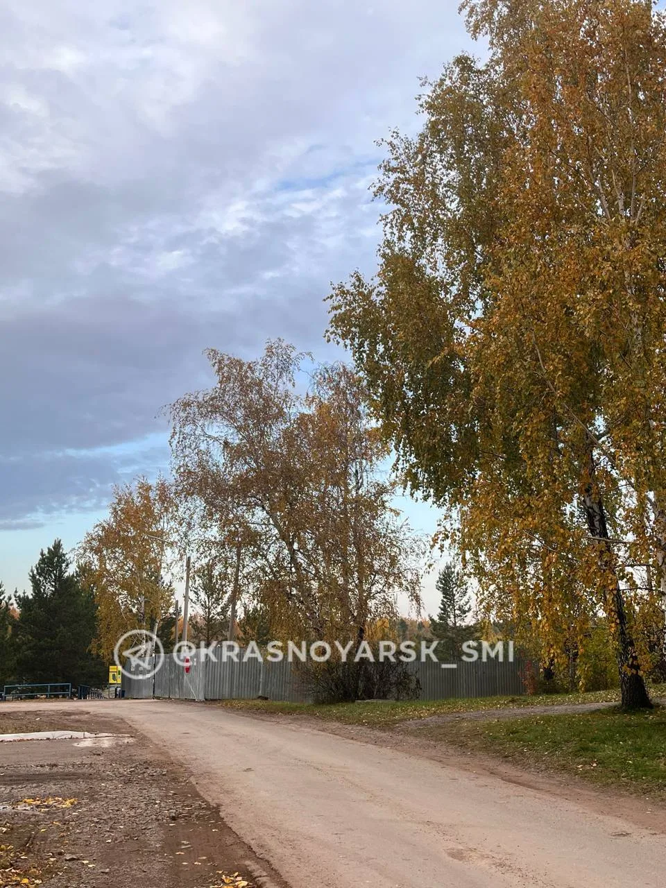 В Ветлужанке начали строить новый спорткомплекс для КрасГАУ.