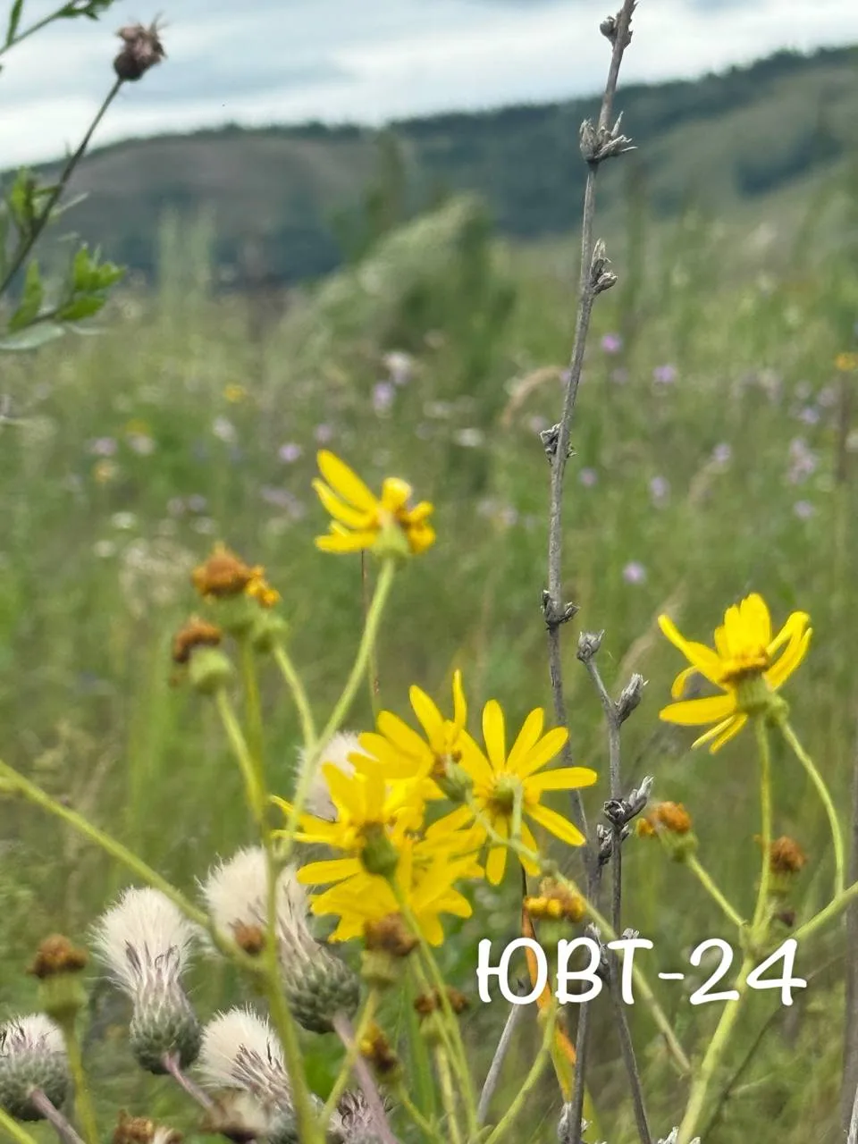 ☀️ Доброе утро, Альметьевск!