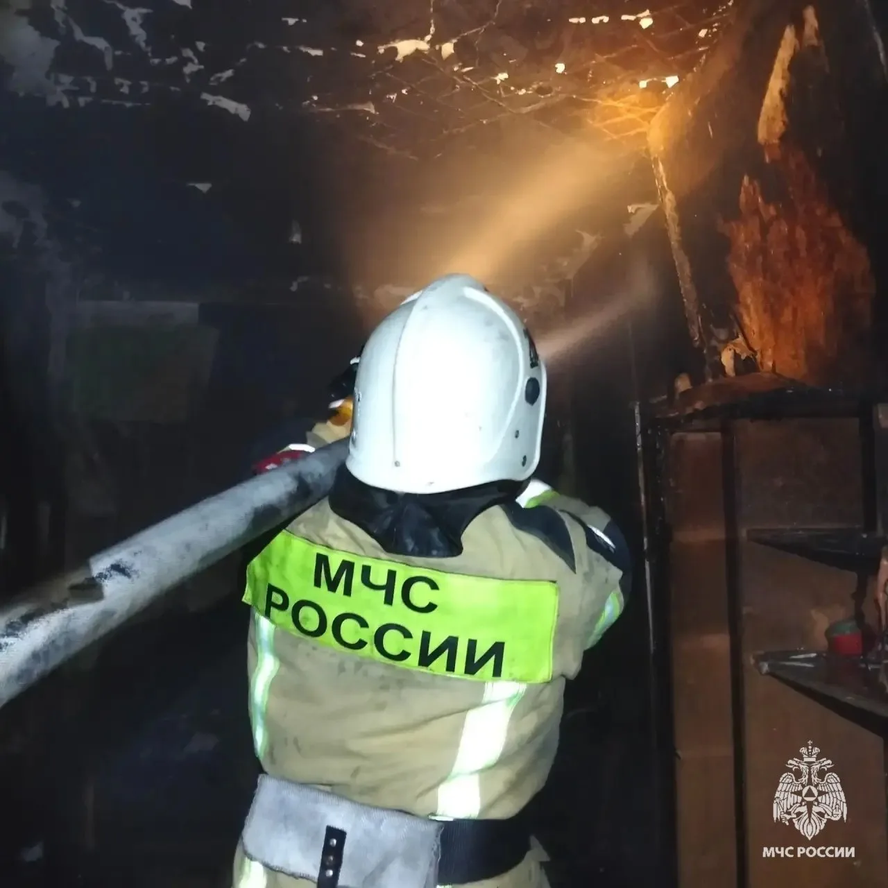 Изображение 2 к публикации «Орловская сводка»
