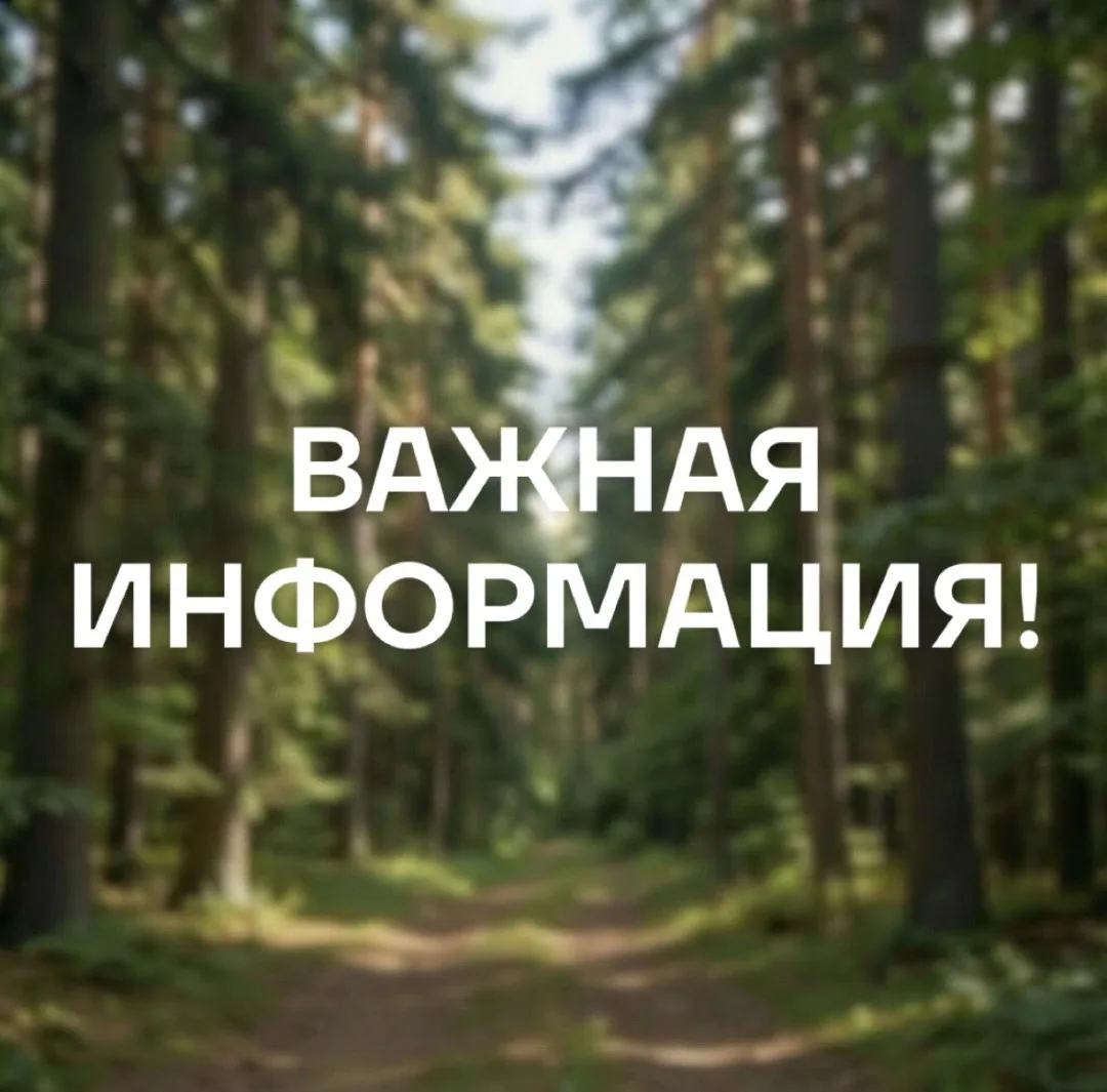 Уважаемые жители и гости Чаинского района!