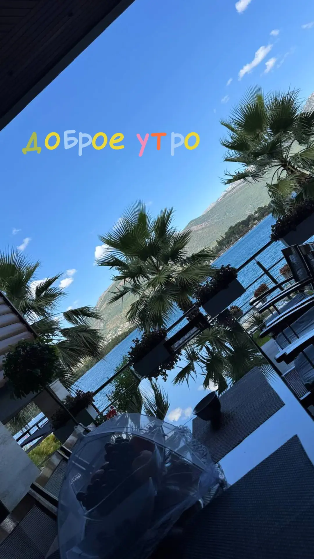 Доброе утро ☀️
всем отличного настроения 🌼
#завтракидыдостман